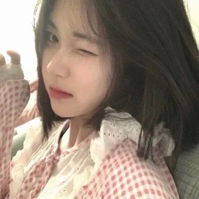 一个小型的专制共和国